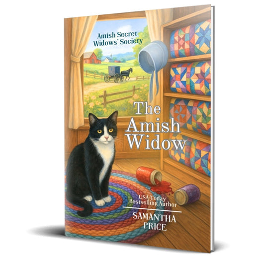 The Amish Widow (PAPERBACK) - samanthapriceshop