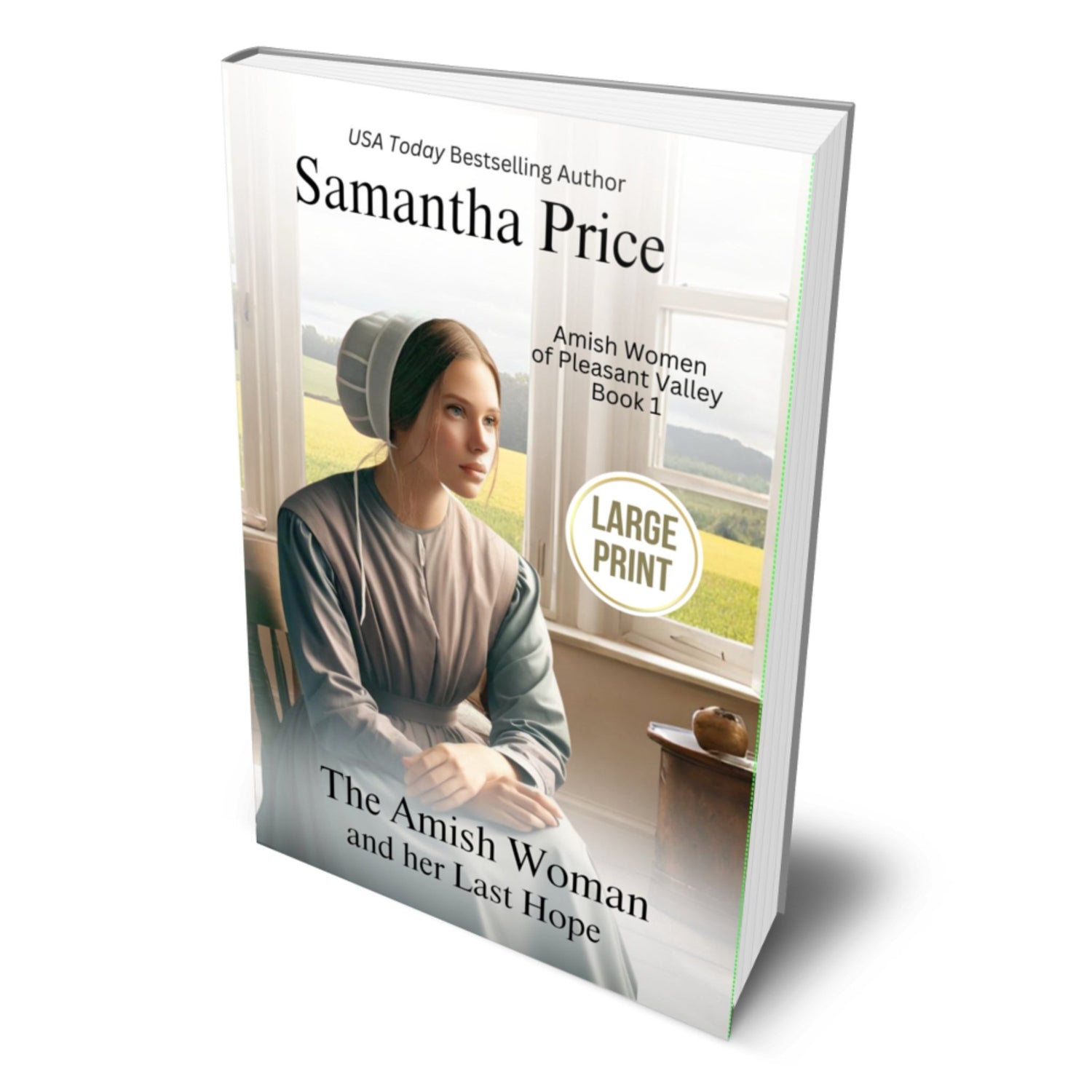 The Amish Woman And Her Last Hope (LARGE PRINT PAPERBACK) - samanthapriceshop