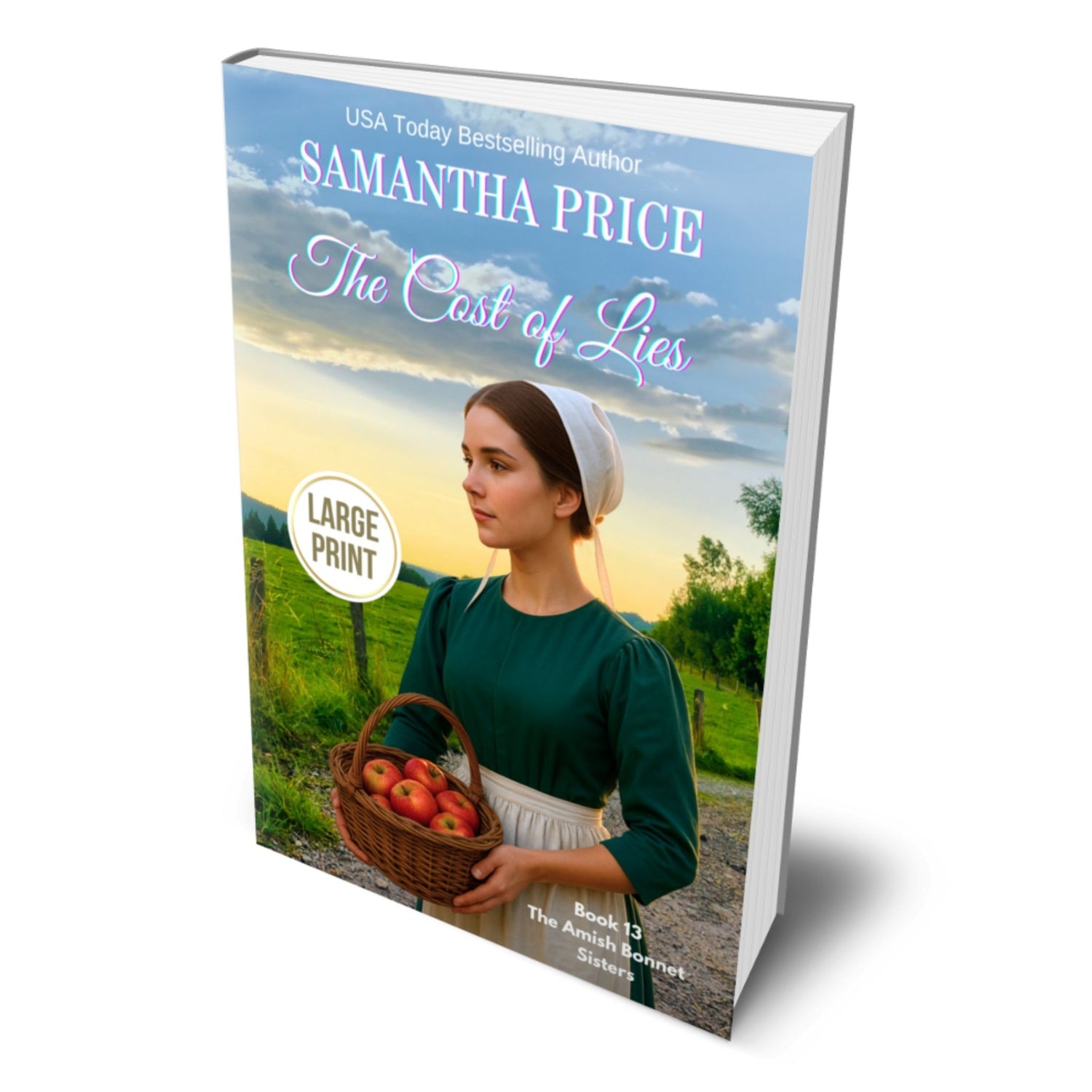 The Cost of Lies (LARGE PRINT PAPERBACK) - samanthapriceshop