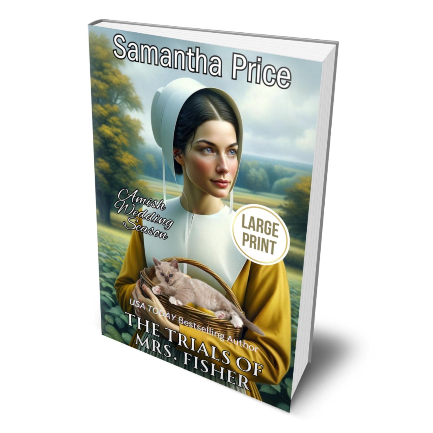 The Trials of Mrs. Fisher (LARGE PRINT PAPERBACK) - samanthapriceshop