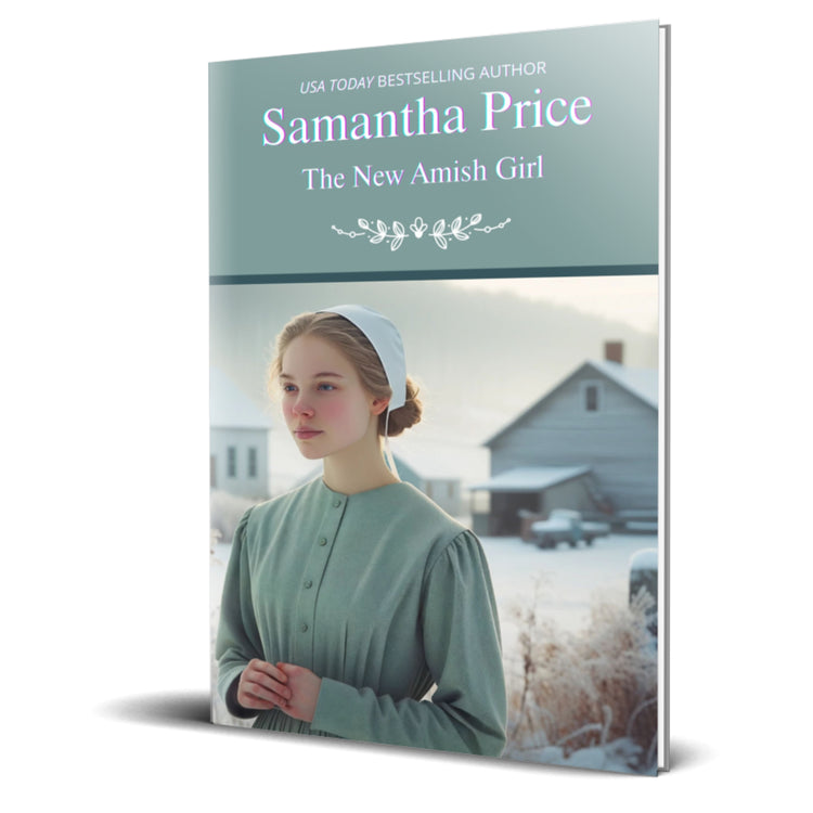 The New Amish Girl (PAPERBACK)