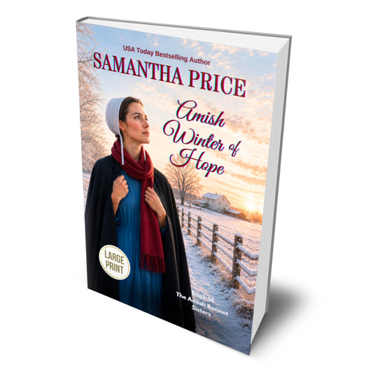 book cover of an amish woman in winter clothing set in a winter field