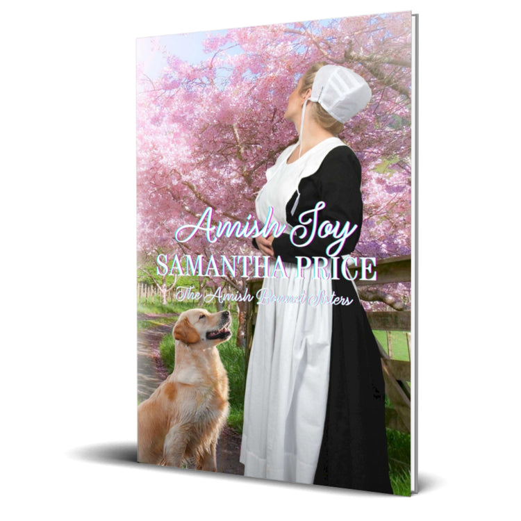 Amish Joy (PAPERBACK)