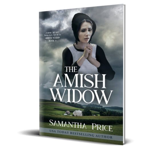 The Amish Widow (PAPERBACK)