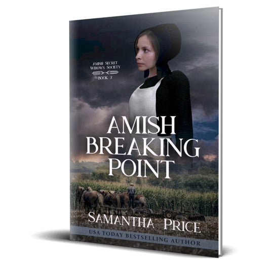 Amish Breaking Point (PAPERBACK)