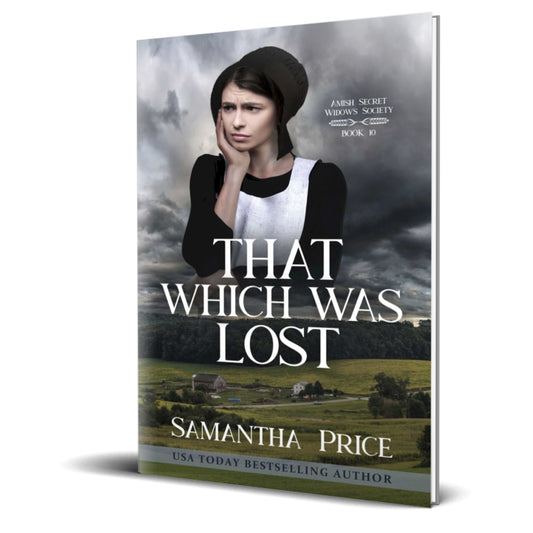 That Which Was Lost (PAPERBACK)
