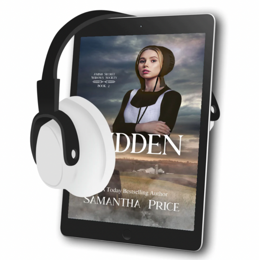 Hidden (AUDIOBOOK)