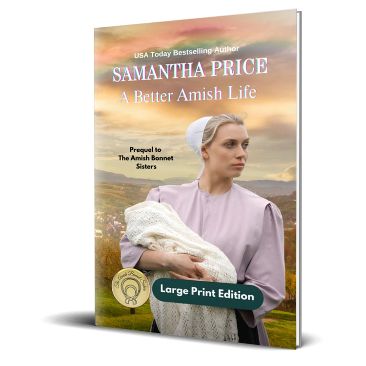 A Better Amish Life (LARGE PRINT PAPERBACK) - samanthapriceshop