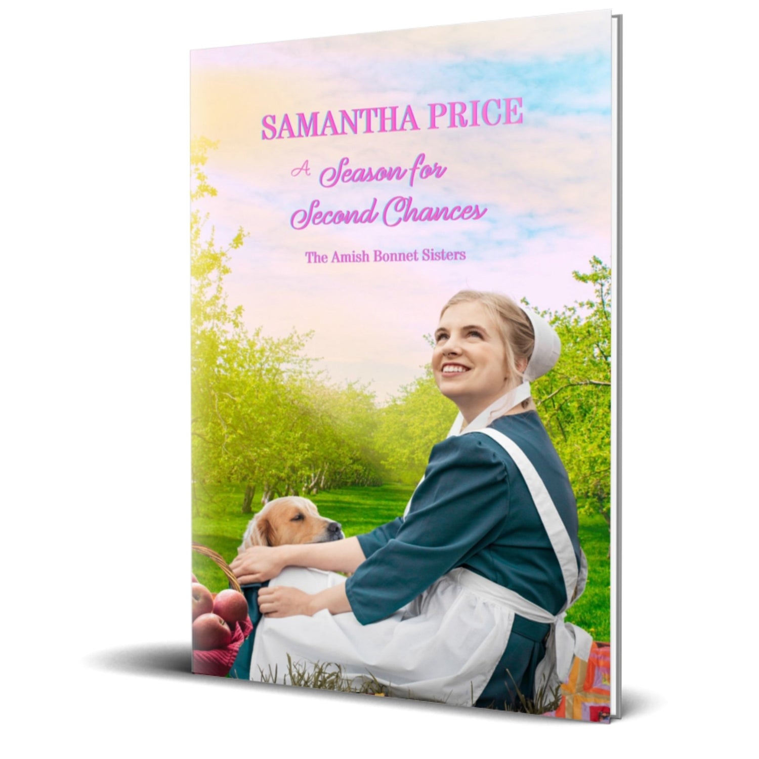 A Season for Second Chances (PAPERBACK) - samanthapriceshop