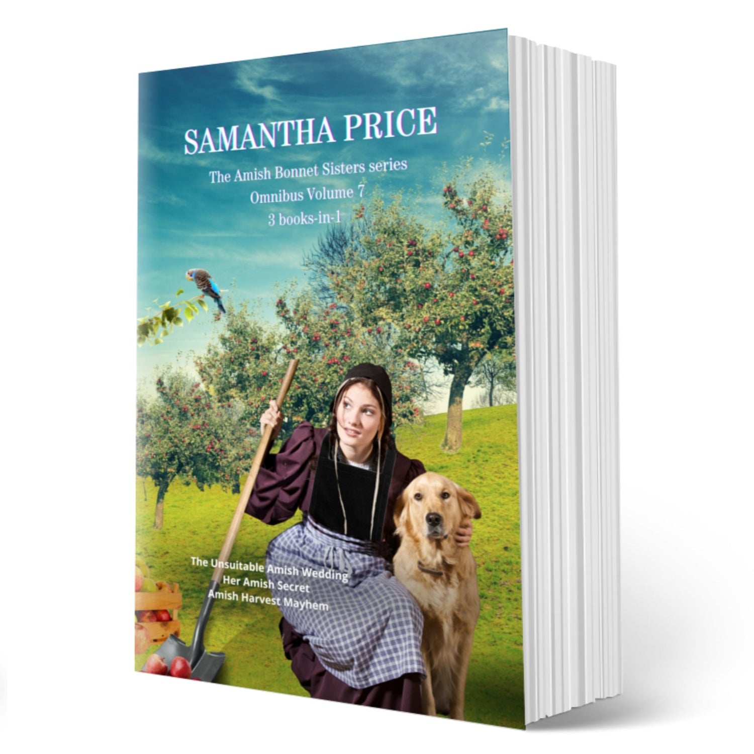 Amish Bonnet Sisters Omnibus: Volume 7 (PAPERBACK 3 Books - in - 1) - samanthapriceshop