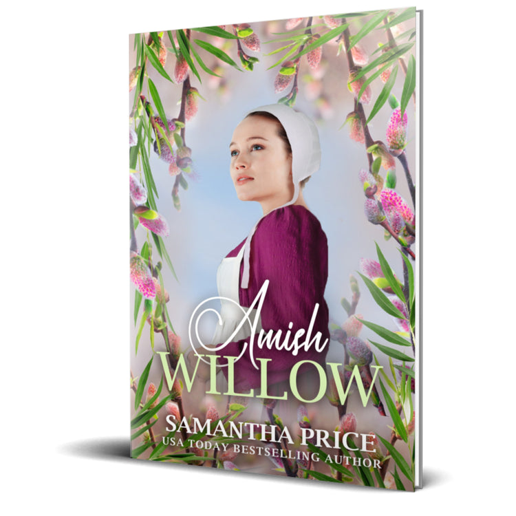 Amish Willow (PAPERBACK)