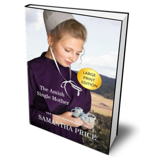 The Amish Single Mother (LARGE PRINT PAPERBACK) - samanthapriceshop